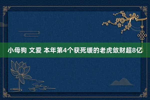 小母狗 文爱 本年第4个获死缓的老虎敛财超8亿